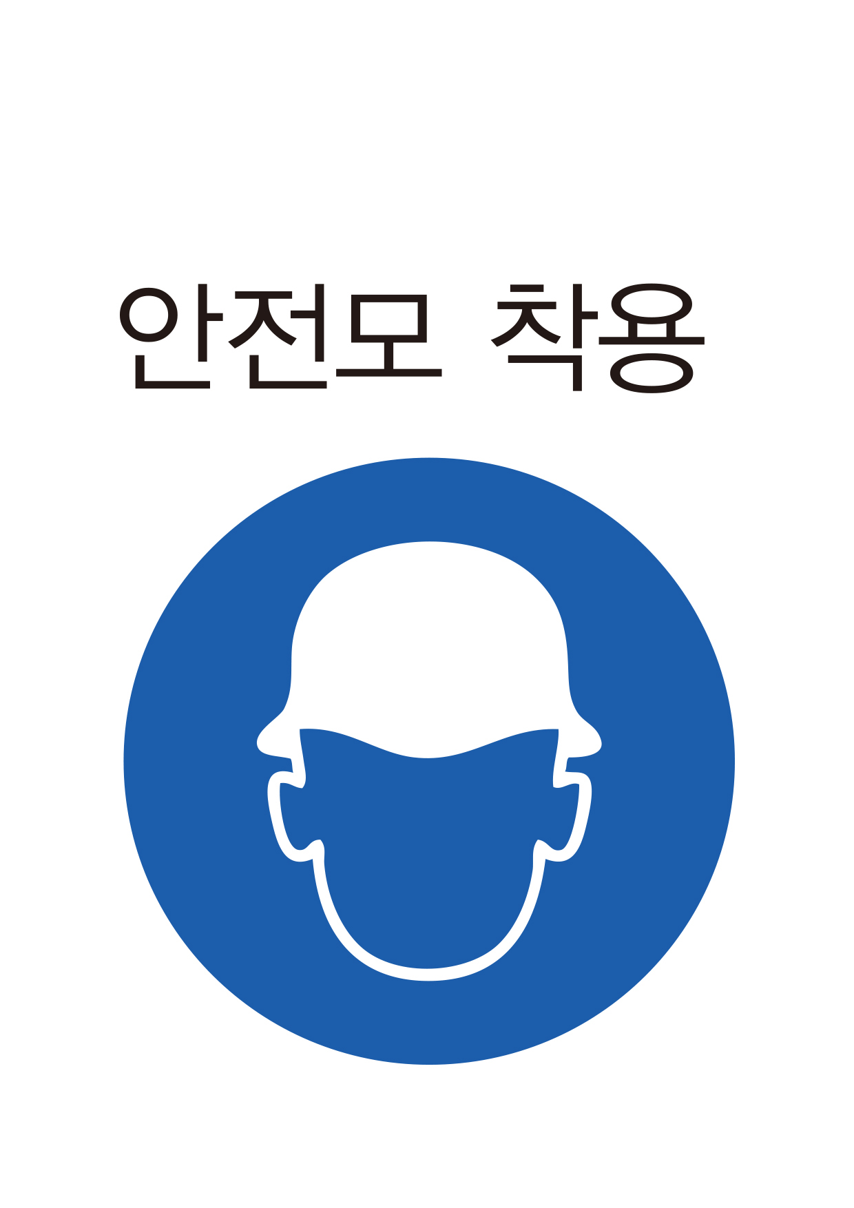 안전모 착용(305)