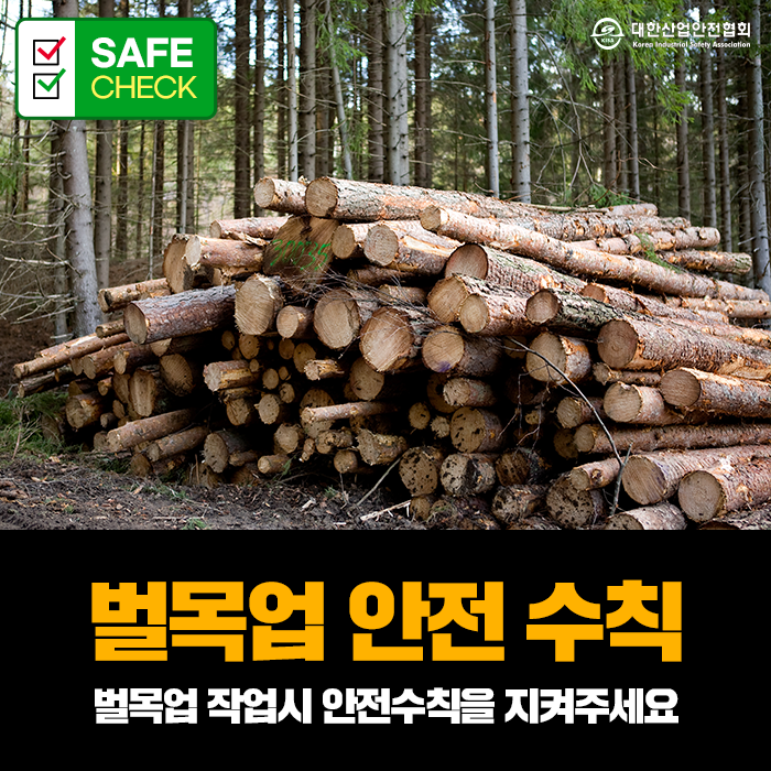 벌목업 안전 수칙, 벌목 작업시 안전수칙을 지켜주세요